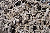 Famous Thailand temple or white temple, Wat Rong Khun,at Chiang Rai province, northern Thailand. 